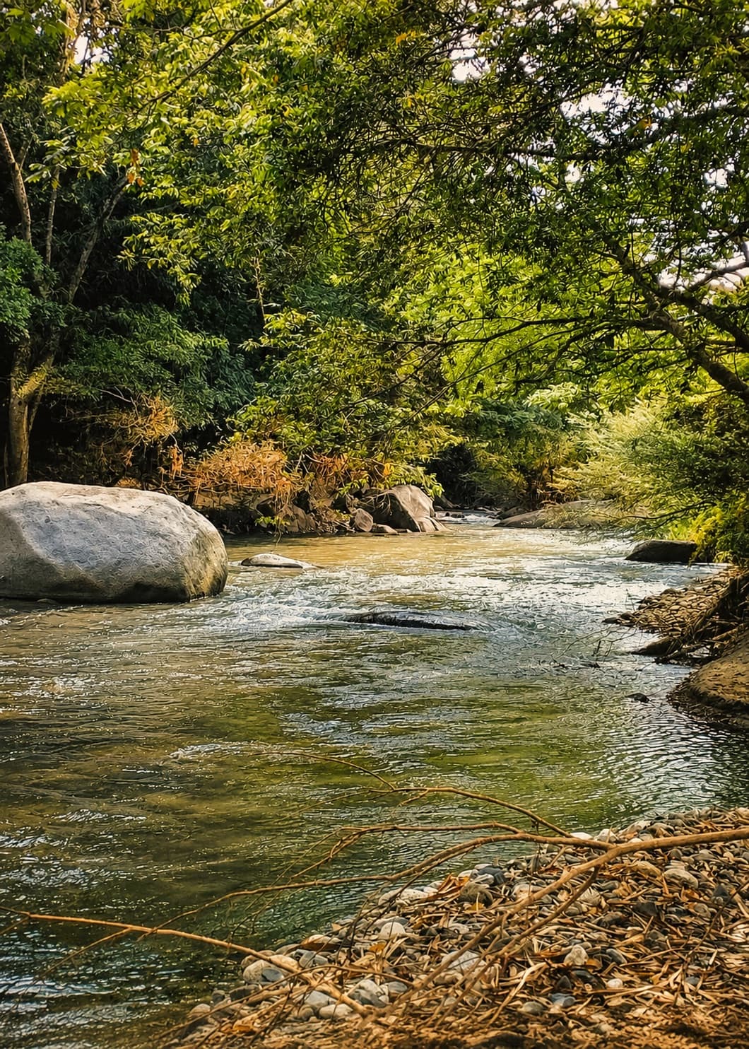 Río Piedras y naturaleza de Río Tayrona Lodge
